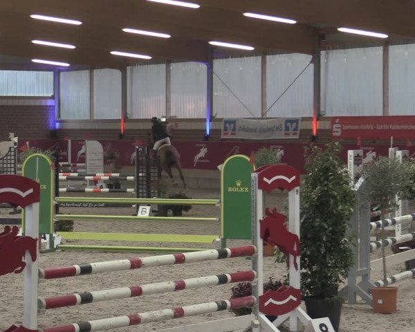 Reitturnier Kaldenkirchen - Gestüt Seehof 2023