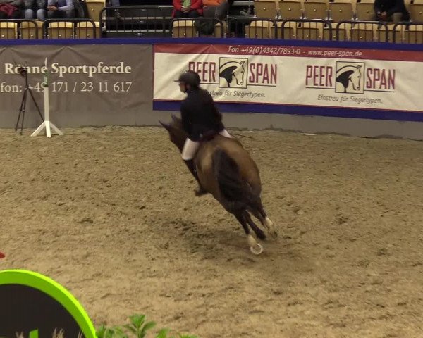 FEI Reitturnier Neumünster (GER) 2021