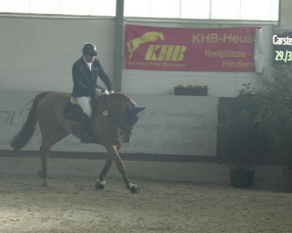 Reitturnier Karlsfeld/Obb. 2023