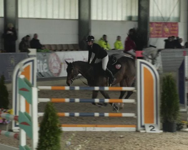 Reitturnier Karlsfeld/Obb. 2023