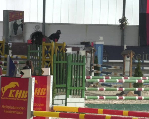 Reitturnier Karlsfeld/Obb. 2023