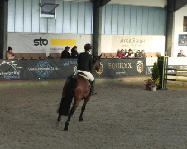 Reitturnier Karlsfeld/Obb. 2023