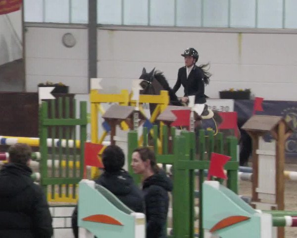 Reitturnier Karlsfeld/Obb. 2023
