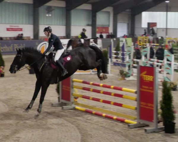 Reitturnier Karlsfeld/Obb. 2023