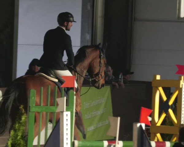 Reitturnier Karlsfeld/Obb. 2023