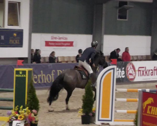 Reitturnier Karlsfeld/Obb. 2023
