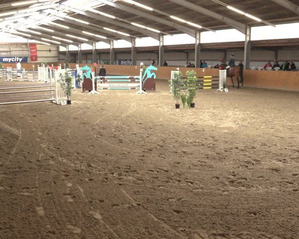 Reitturnier Schlieckau 2023