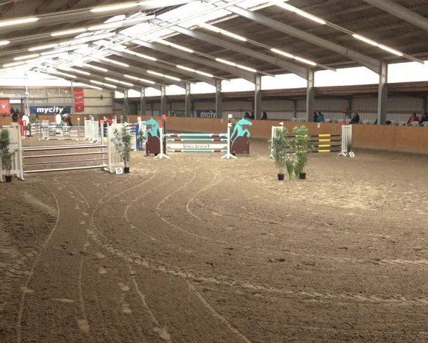 Reitturnier Schlieckau 2023