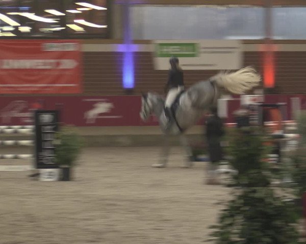 Reitturnier Kaldenkirchen - Gestüt Seehof 2023