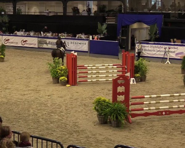 FEI Reitturnier Neumünster (GER) 2021