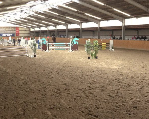 Reitturnier Schlieckau 2023