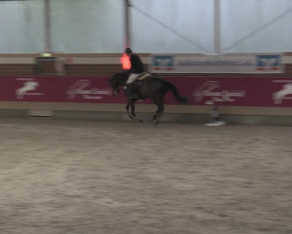 Reitturnier Kaldenkirchen - Gestüt Seehof 2023