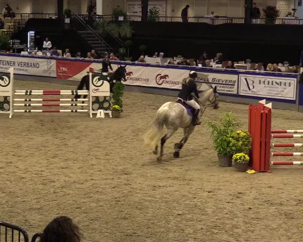 FEI Reitturnier Neumünster (GER) 2021