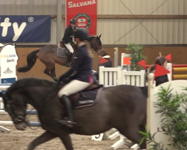 Reitturnier Schlieckau 2023