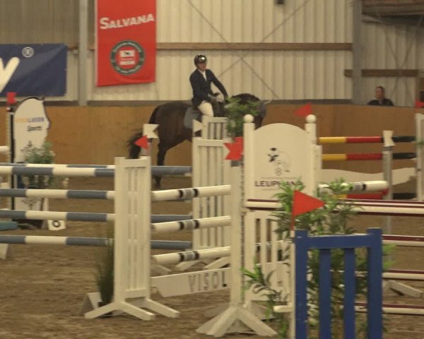 Reitturnier Schlieckau 2023