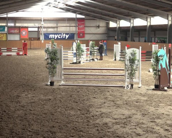 Reitturnier Schlieckau 2023