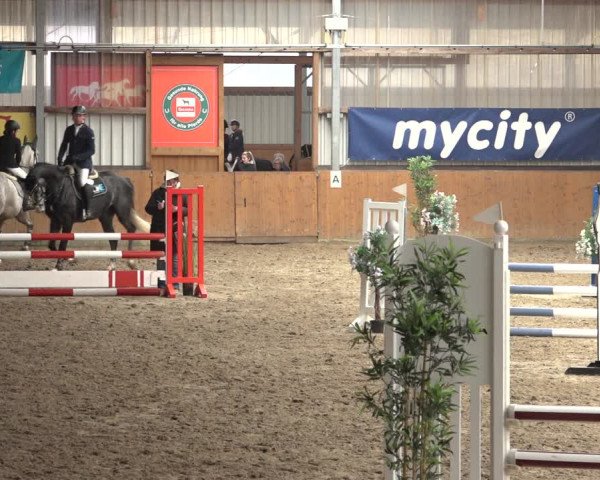 Reitturnier Schlieckau 2023