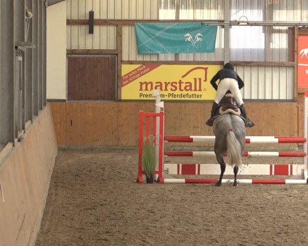 Reitturnier Schlieckau 2023
