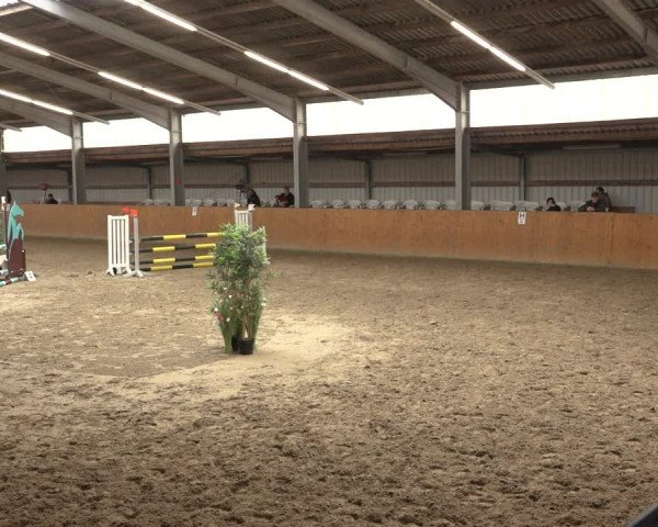 Reitturnier Schlieckau 2023