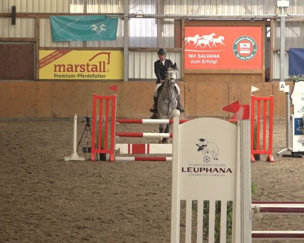 Reitturnier Schlieckau 2023