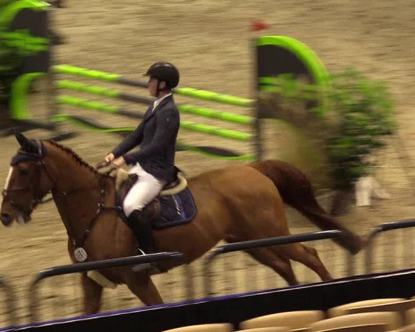 FEI Reitturnier Neumünster (GER) 2021