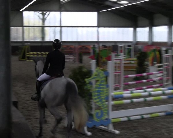 Reitturnier Greven 2023