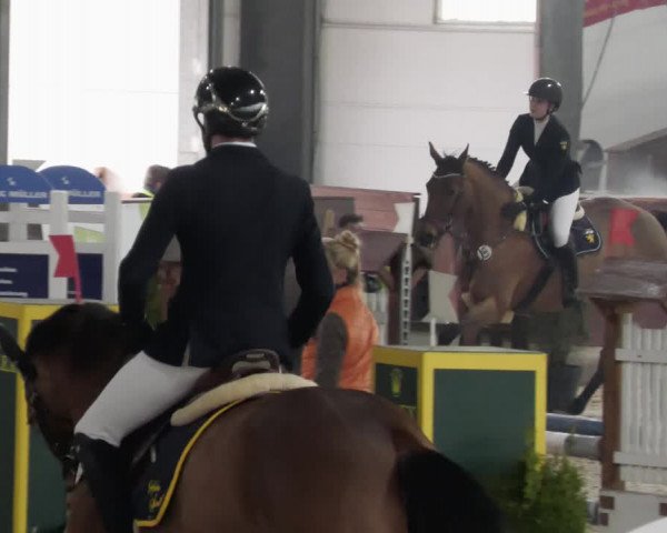 Reitturnier Karlsfeld/Obb. 2023