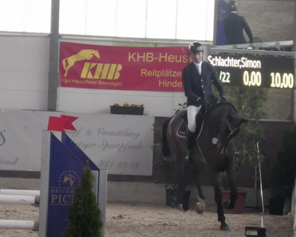 Reitturnier Karlsfeld/Obb. 2023