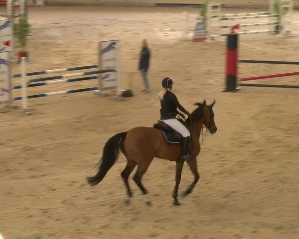 Video of Juffrouw Van De Lentamel
