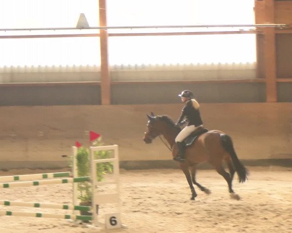 Video of Juffrouw Van De Lentamel