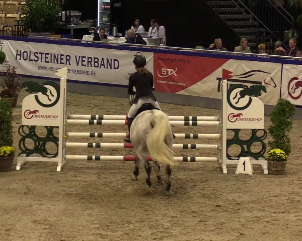 FEI Reitturnier Neumünster (GER) 2021