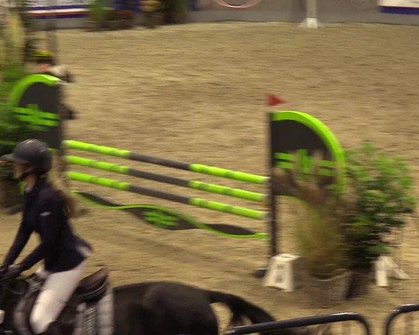 FEI Reitturnier Neumünster (GER) 2021