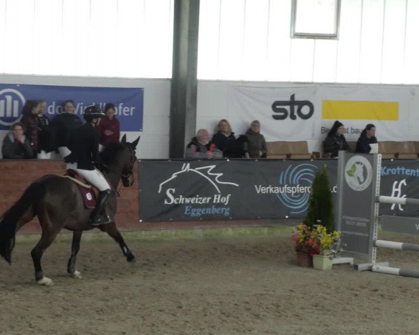 Reitturnier Karlsfeld/Obb. 2023