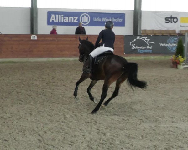 Reitturnier Karlsfeld/Obb. 2023