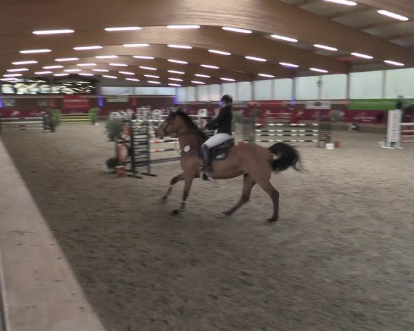 Reitturnier Kaldenkirchen - Gestüt Seehof 2023