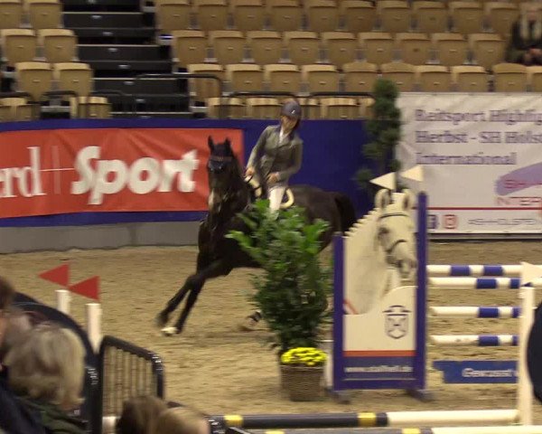 FEI Reitturnier Neumünster (GER) 2021