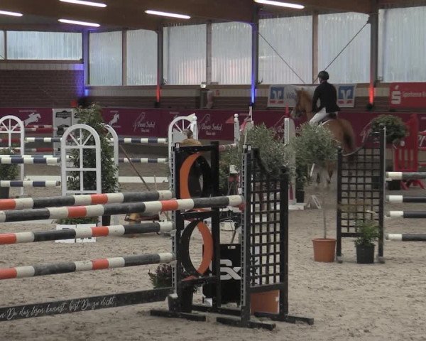 Reitturnier Kaldenkirchen - Gestüt Seehof 2023