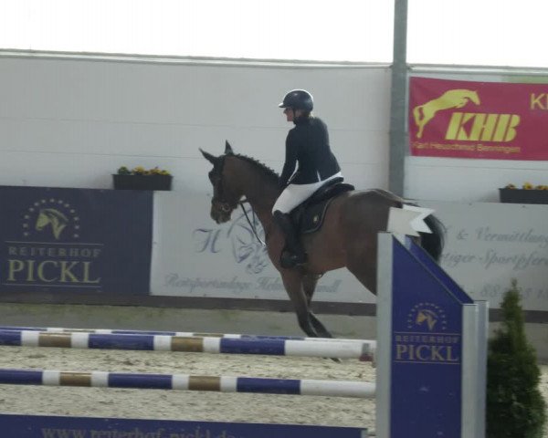 Reitturnier Karlsfeld/Obb. 2023