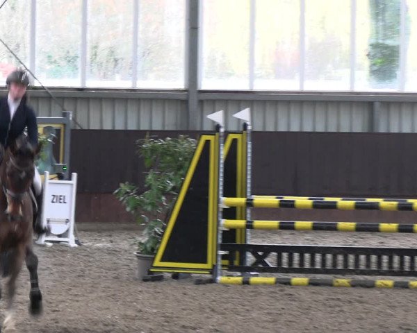Reitturnier Greven 2023