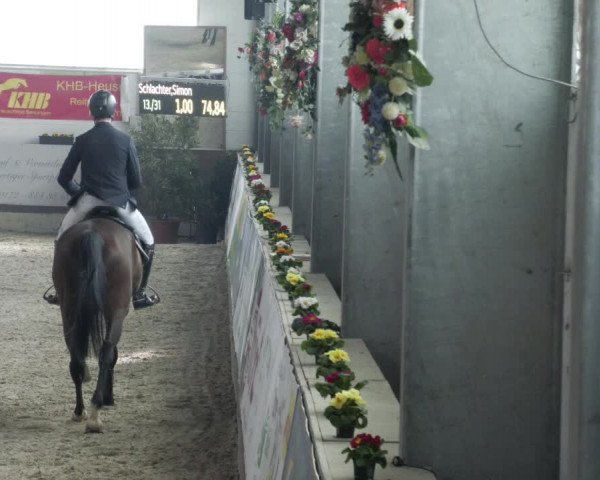 Reitturnier Karlsfeld/Obb. 2023