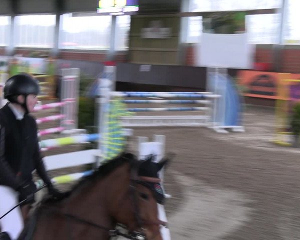 Reitturnier Greven 2023
