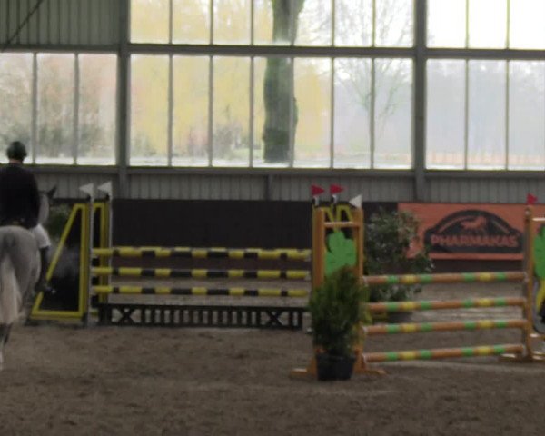 Reitturnier Greven 2023