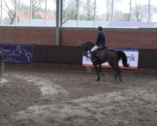 Reitturnier Greven 2023