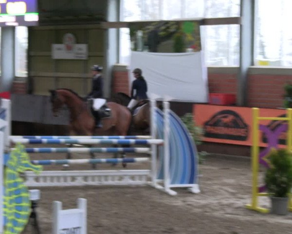 Reitturnier Greven 2023