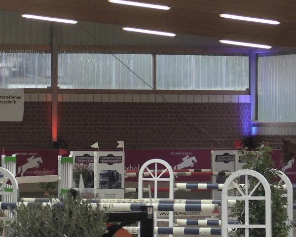 Reitturnier Kaldenkirchen - Gestüt Seehof 2023