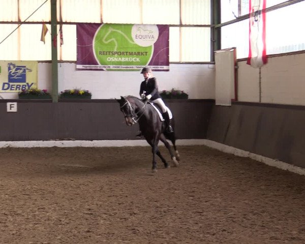 Reitturnier Bad Essen 2021
