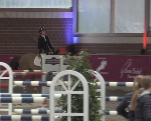 Reitturnier Kaldenkirchen - Gestüt Seehof 2023