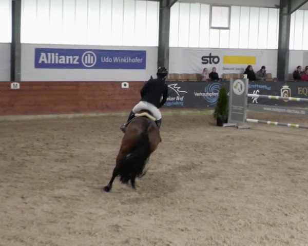 Reitturnier Karlsfeld/Obb. 2023