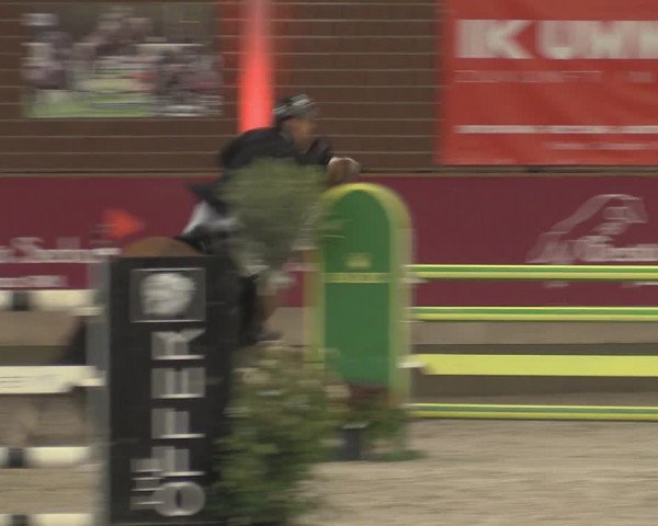 Reitturnier Kaldenkirchen - Gestüt Seehof 2023
