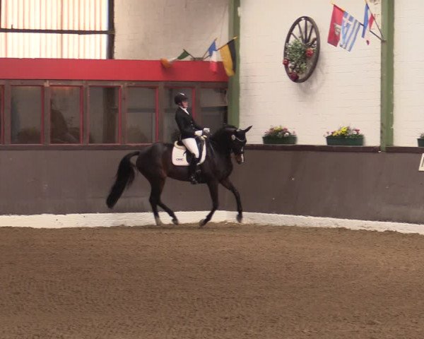 Reitturnier Bad Essen 2021
